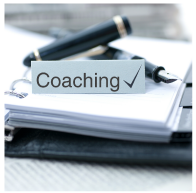 An executive coach coaching an executive